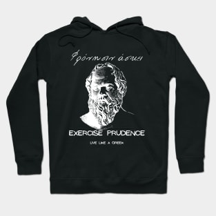 Exercise prudence and live like a Greek ,apparel hoodie sticker coffee mug gift for everyone Hoodie